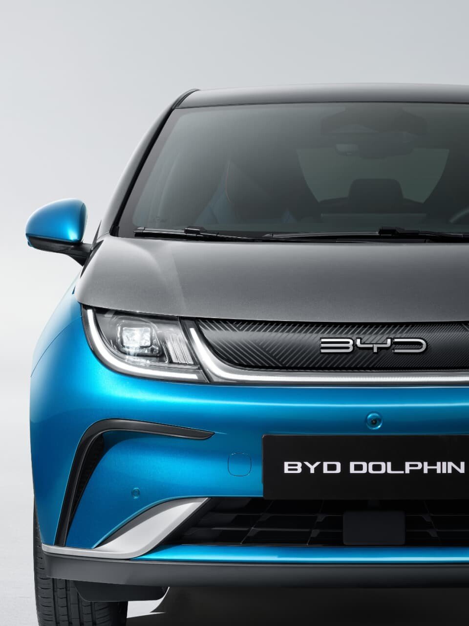 2024 BYD Dolphin in Nigeria